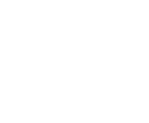 Sitio Web Solutions